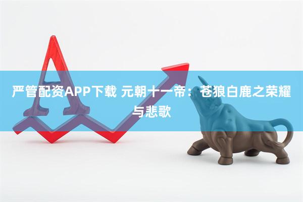 严管配资APP下载 元朝十一帝：苍狼白鹿之荣耀与悲歌