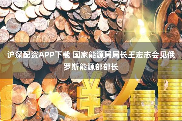 沪深配资APP下载 国家能源局局长王宏志会见俄罗斯能源部部长